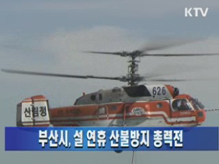 부산시, 설 연휴 산불방지 총력전