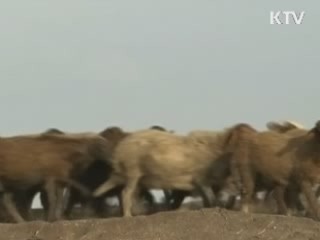 "불안심리 조기 차단, 국제공조 강화"