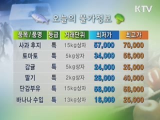 알뜰장보기 물가정보