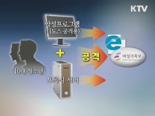 10대들, 여성가족부 디도스 공격