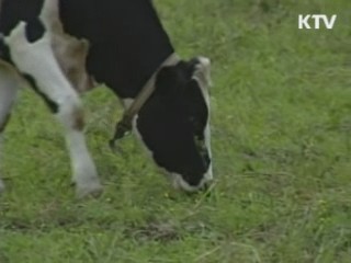 靑 "국민 건강 가장 중요하게 생각"