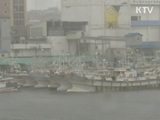 올해 태풍 4차례…잦은 태풍 원인은?