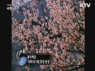 다시보는 대한늬우스 (86.03.28)