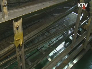 불량식품 신고센터 통합…식품안전 강화