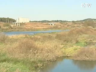 '남도 젖줄' 영산강, 생명의 강으로 복원