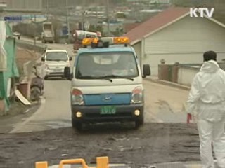 가평 구제역 발생…강원 평창 의심신고