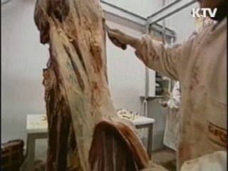 미국산 쇠고기 검역 절차 대폭 강화