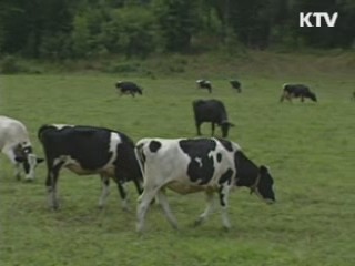 미국 현지조사단 "비정형 BSE 확인"