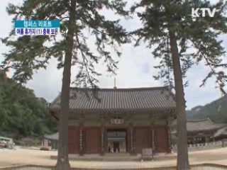 여름휴가지 (1) 충북 보은 [캠퍼스 리포트]