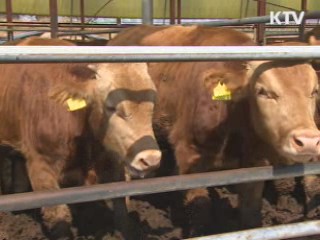 구미 불산 유출 피해 심각