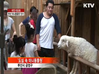 부산에 체험형 미니동물원 인기 [국민리포트]