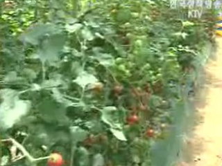 한미FTA 농림.노동 대책