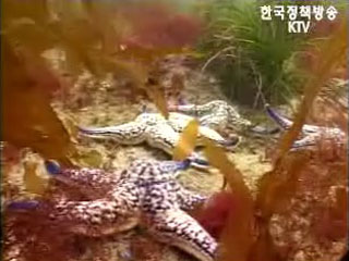 테마기획 ‘바다로 세계로’