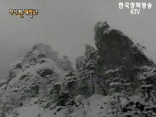 연초에 큰 눈(73`) 등