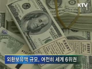 외환보유액 규모 '문제 없다'