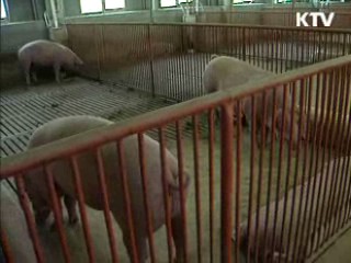 일반독감과 증상 비슷...손 자주 씻어야