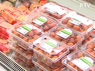 하반기 농식품 수출시장 개척 총력