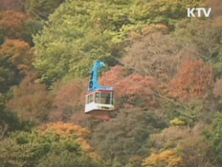 이번 주 단풍 절정…기온은 '뚝'