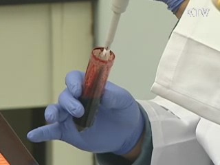 내수 기반 강화, 미래 성장동력 확충