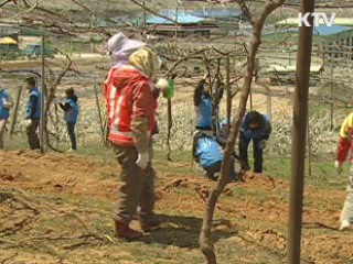 자원 민방위대 3만명 창설
