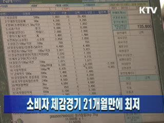 소비자 체감경기 21개월만에 최저