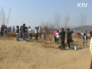 이 대통령 "내일을 보고 나무심어야"