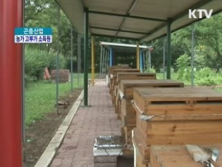 곤충산업, 농가 고부가 소득원으로 육성