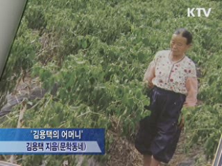  새로 나온 책 