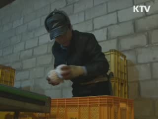 귀농·귀촌 열풍···내년 예산 대폭 확대 