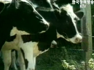 개방 아닌 양허, `왜?`