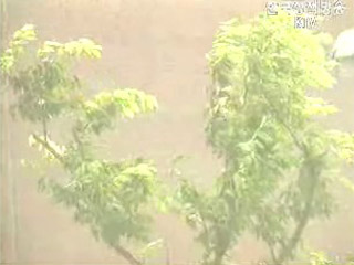 청와대 에위니아 대비 긴급 상황점검회의