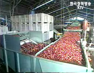 한미 FTA, 이젠 전략이다