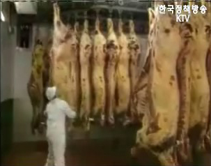 한-미 첫 쇠고기 협상 9일 개시