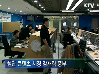 IPTV 5년간 4조5천억원 투입