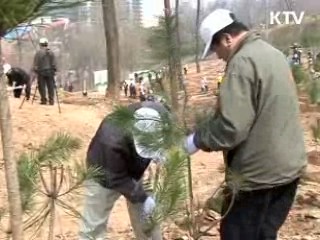 어제 '식목일'...전국서 1천만그루 심어 