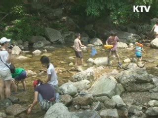 '여름휴가, 국립공원 계곡으로 오세요'