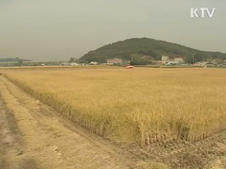 쌀 8만6천톤 추가 매입, 가격 안정