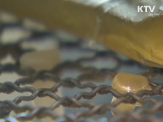 위생불량 초콜릿, 캔디 무더기 적발