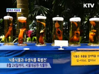 들쥐·도마뱀도 꿀꺽…식충식물 한자리에 [캠퍼스리포트]