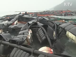 농작물 피해 1만7천ha…신속 보상 추진