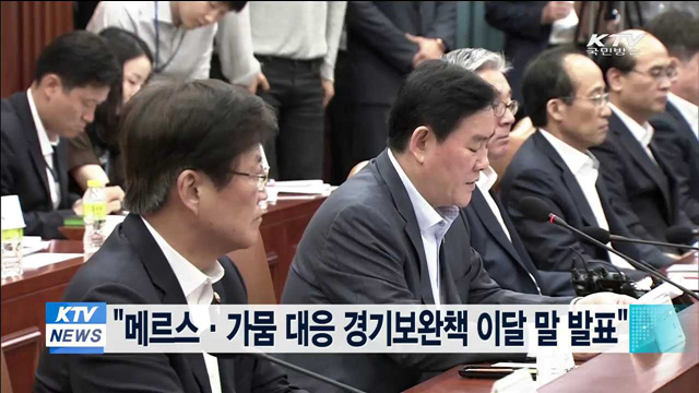 "메르스·가뭄 대응 경기보완책 이달 말 발표"