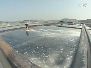 천일염 경쟁력 높여 세계시장 공략