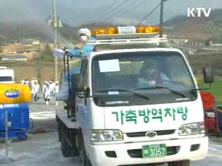 구제역 피해농가 종소세 세정지원