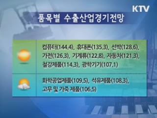 2011년 수출 '긍정적 출발' 전망