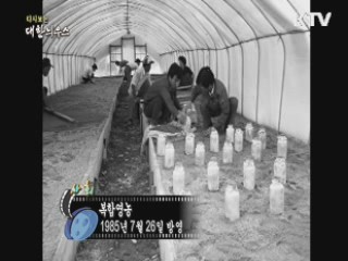 다시보는 대한늬우스 (85.07.26)