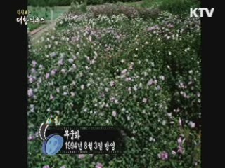 다시보는 대한늬우스 (94.08.03)