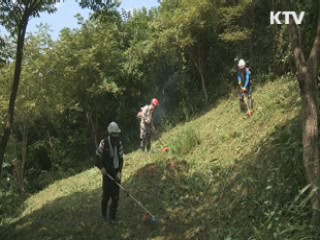 추석 앞두고 예초기 안전사고 '주의보'