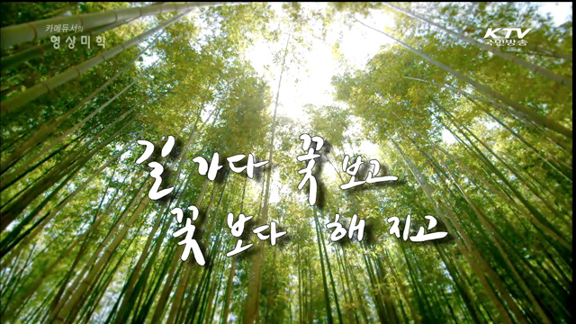 카메듀서의 映像美學 (31회)