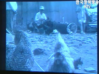 국가기록원, `일일 영상카폐` 상영