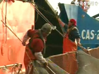 칠레, 연어수출 신화창조